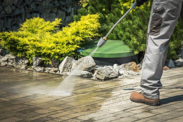 Best Residential Exterior Washing  in Arche, OK