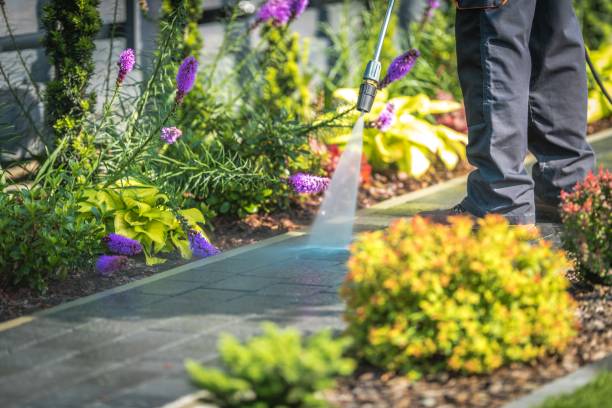 Best Sidewalk and Walkway Cleaning  in Arche, OK