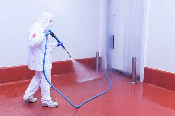 Best Warehouse Cleaning  in Arche, OK