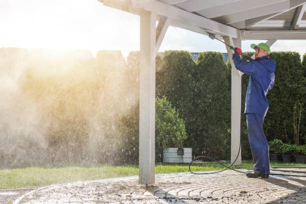 Best Roof Washing  in Arche, OK